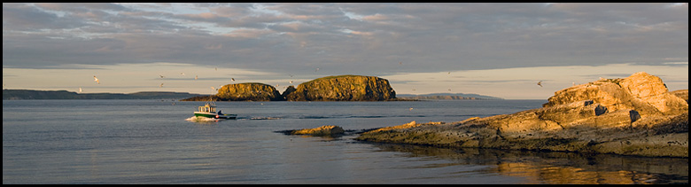 Croft Cottage Near Scenic Ireland